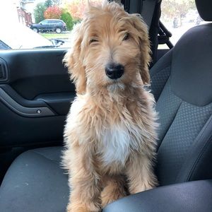 Meet your Posher, Brittany